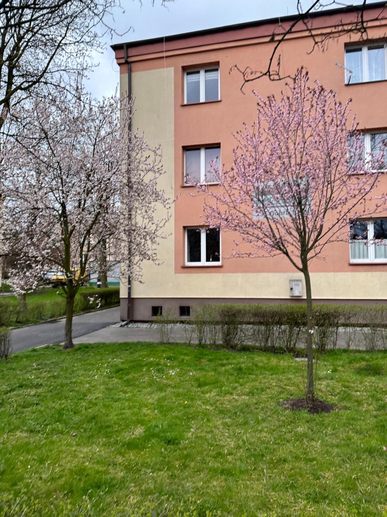 Ferienwohnung Dobra 19 Kattowitz Exterior foto